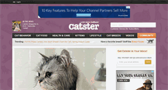 Desktop Screenshot of catster.com