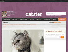 Tablet Screenshot of catster.com